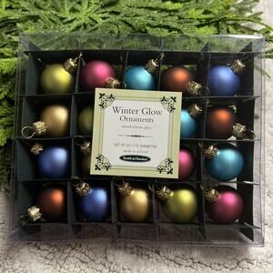Smith & Hawken Winter Glow Mouth Blown Glass Ball Ornaments Set/20 Poland 1.25”